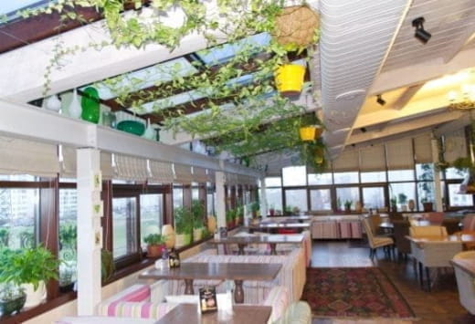 Зимний сад «Modena»